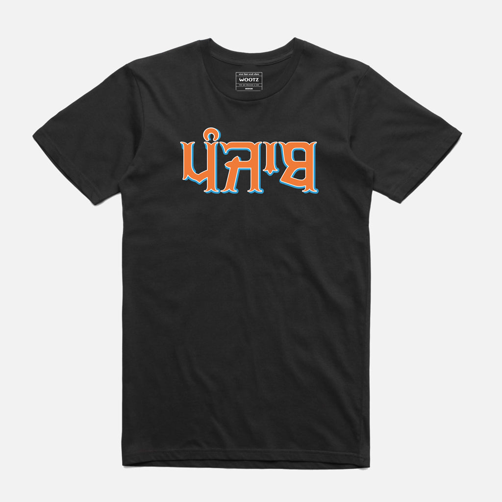 Punjab Tri Colour T-Shirt
