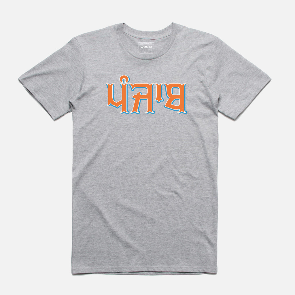 Punjab Tri Colour T-Shirt