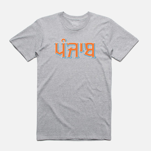 Punjab Tri Colour T-Shirt