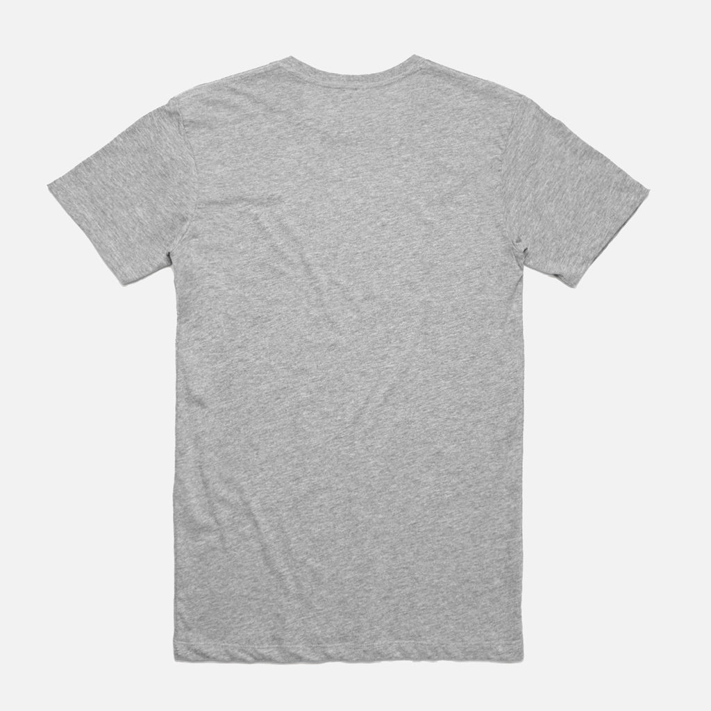 Punjab Tri Colour T-Shirt
