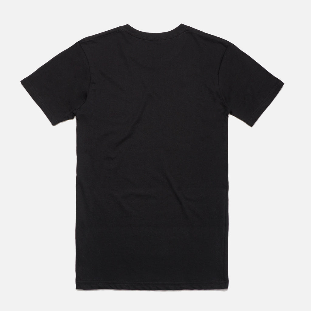 Punjab Tri Colour T-Shirt