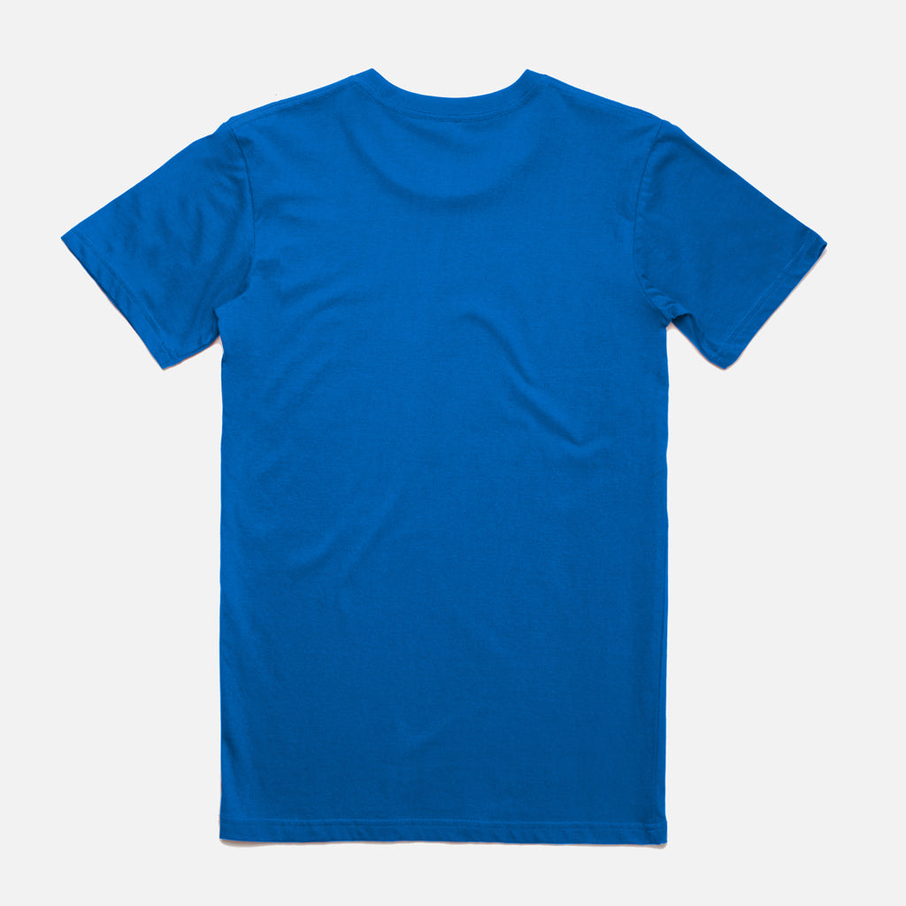 Punjab Tri Colour T-Shirt